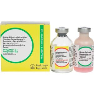 PYRAMID 5 + PRESPONSE 10DOSE