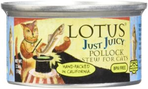 LOT JUICY POLLOCK STEW 2.5OZ