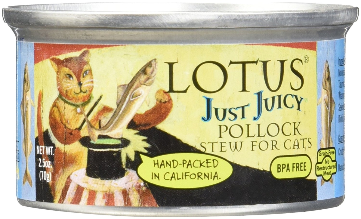 LOT JUICY POLLOCK STEW 2.5OZ