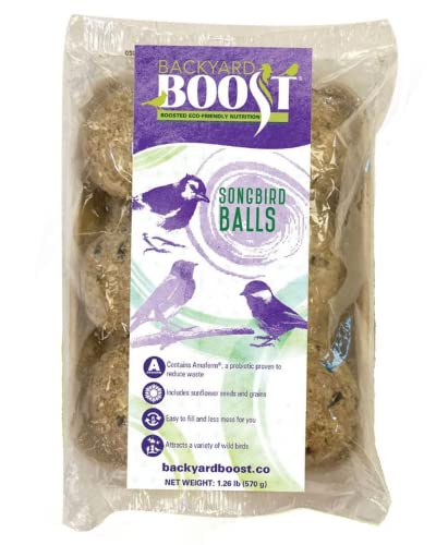 BYB SONGBIRD BALLS 1.36LB
