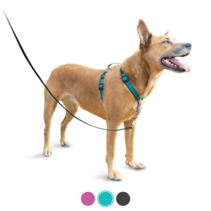 3IN1 NO-PULL HARNESS M TEAL