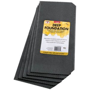 BEEHIVE FOUNDATION DEEP