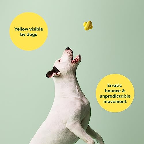 ERATED FETCH TOY YELLOW MEDIUM - Image 4