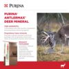 ANTLERMAX TROPHY DEER MIN 25# - Image 2