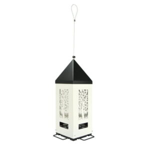 WHT LANTERN BIRD FDR SQ RST