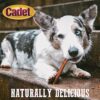 CADET BULLY HIDE STICK 6" - Image 4