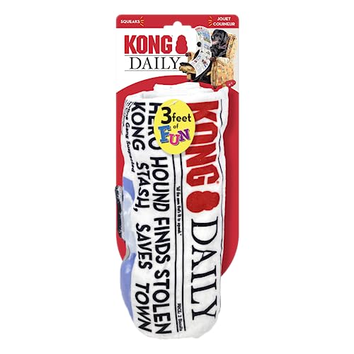 KONG DAILY NEWSPAPER XL - Image 3