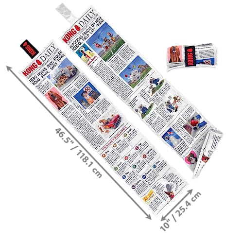 KONG DAILY NEWSPAPER XL - Image 4