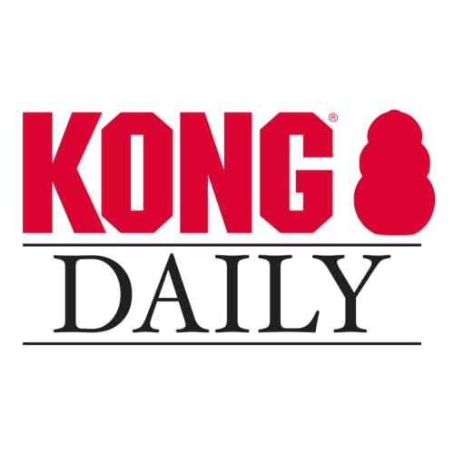 KONG DAILY NEWSPAPER XL - Image 5