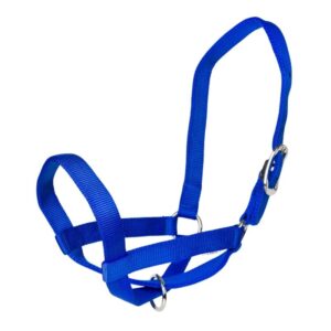 COW HALTER GATSBY NYL BLUE MD