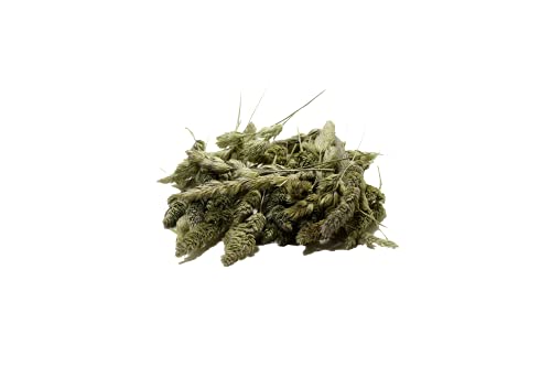 RND LAKE ORCHARD SEED 10 GM - Image 5