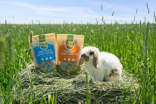 RND LAKE ORCHARD SEED 10 GM - Image 8