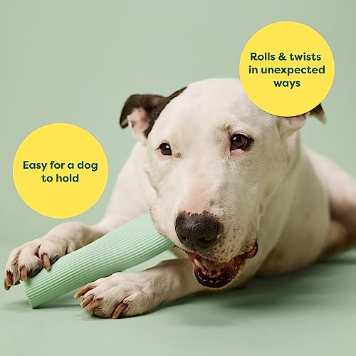 ERATED CHEW TOY GREEN LARGE - Image 4