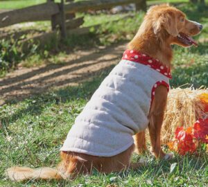 DOG COAT TWEED RED SM