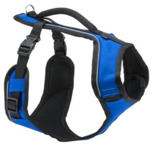 EASYSPORT HARNESS XSM BLUE
