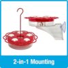 NW 2-N-1 HUMMINGBIRD FEEDER 13OZ - Image 8