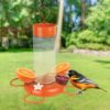 ORANGE BLOSSOM ORIOLE FEEDER 30 - Image 8