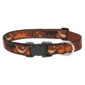 1" DOG COLLAR 12-20" SHADOW