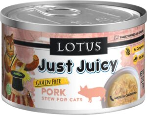LOTUS JUICY PORK STEW 2.5OZ