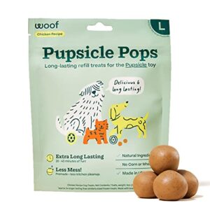 PUPSICLE REFILL POP PB CKN L 8OZ