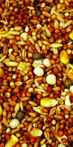 PURGRAIN ECONO SYC 11% 50 LB