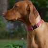 3/4" ALPEN GLOW 15-25 ADJ COLLAR - Image 3