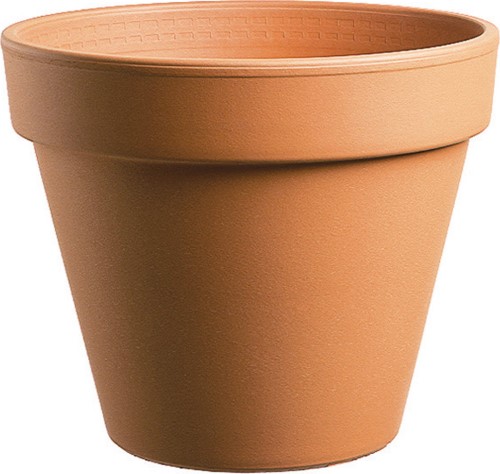 CLAY POT TERRACOTTA 8IN SP