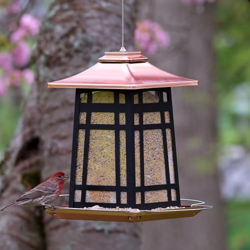 COPPER ARCHES METAL GAZEBO FDR - Image 6