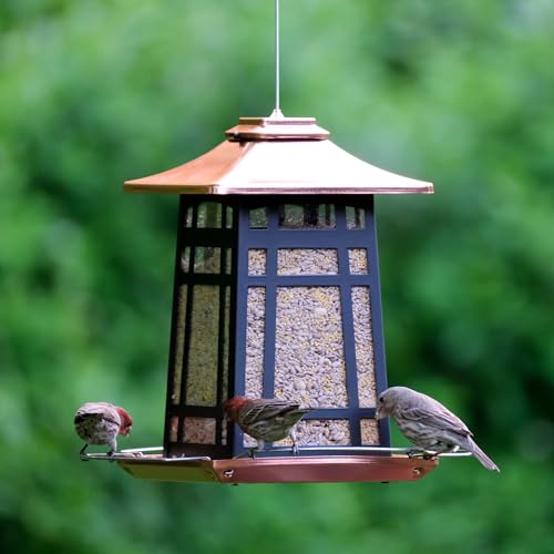 COPPER ARCHES METAL GAZEBO FDR - Image 7