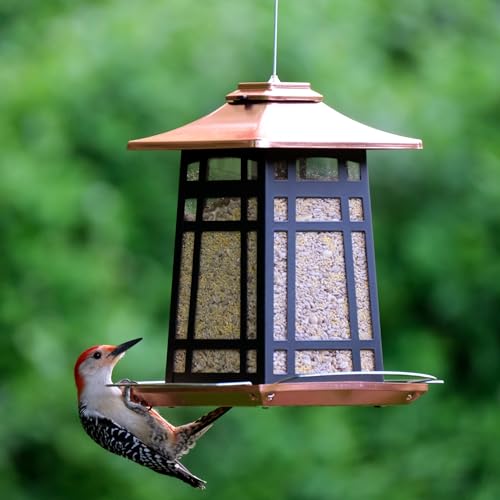 COPPER ARCHES METAL GAZEBO FDR - Image 8