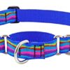 1" RIP CREEK 15-22 MART COLLAR
