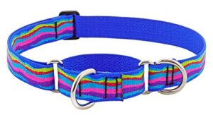 1" RIP CREEK 15-22 MART COLLAR