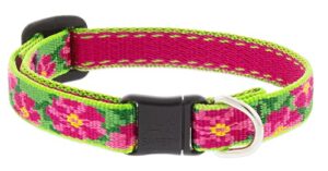 1/2in Petunias 8-12 Cat Safety