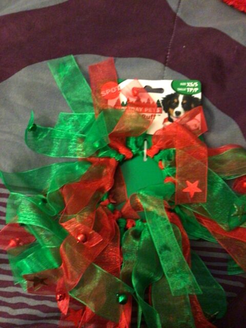 HOLIDAY RUFFS DOG TOY