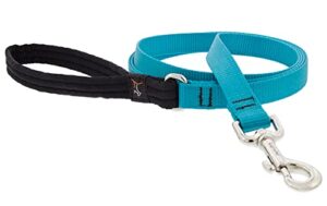 3/4in Aqua 6ft Leash