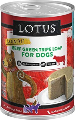 LOTUS CAN BEEF TRIPE 12.5OZ
