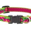 1/2in Petunias 6-9 Adj Collar