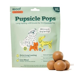 PUPSICLE REFILL POP PB BF XL 12