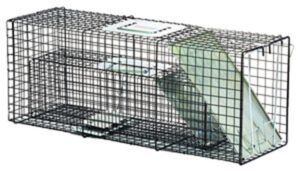 BOX TRAP LIVE COMBO PAC