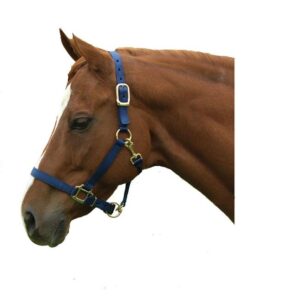 HALTER CHIN W/ SNAP BLUE LG