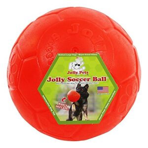 JOLLY PETS SOCCER BALL FALL LG