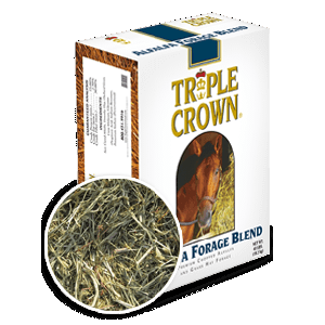 TRIPLE CROWN ALFALFA BLND FORAGE