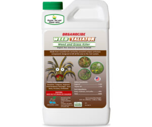 OL WEED TALIATOR KILLER QT CONC