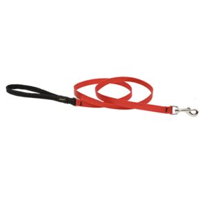 1/2in Red 4ft Leash