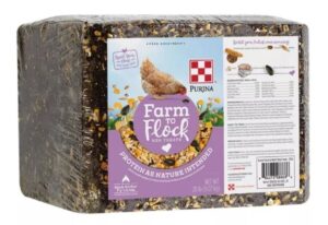 PURINA HEN BLOCK BSFL 20LB