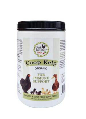 FED ORGANIC COOP KELP 20OZ