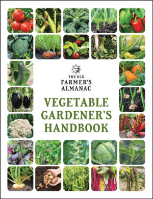 VEGETABLE GARDENER'S HANDBOOK