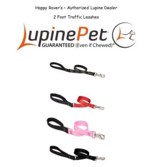 3/4in Aqua 2ft Leash