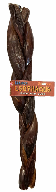 ESOPHAGUS BRAIDED STICK 12"