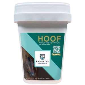 PROELITE HOOF OM